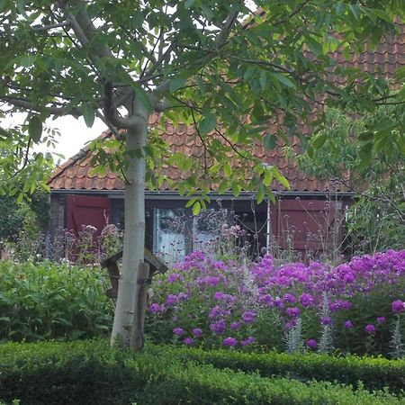 Bed and Breakfast 'T Griene Hemeltsje Wijckel Esterno foto